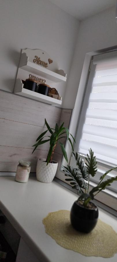 Queen Apartmancic Zajecar Bagian luar foto